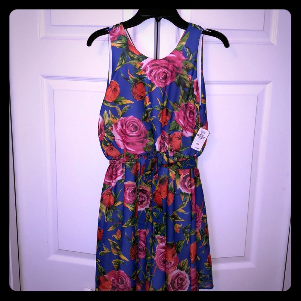 NWT HELENA Dress Blue w/ Roses 🌹 SZ 10